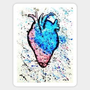 Transgender Heart Sticker